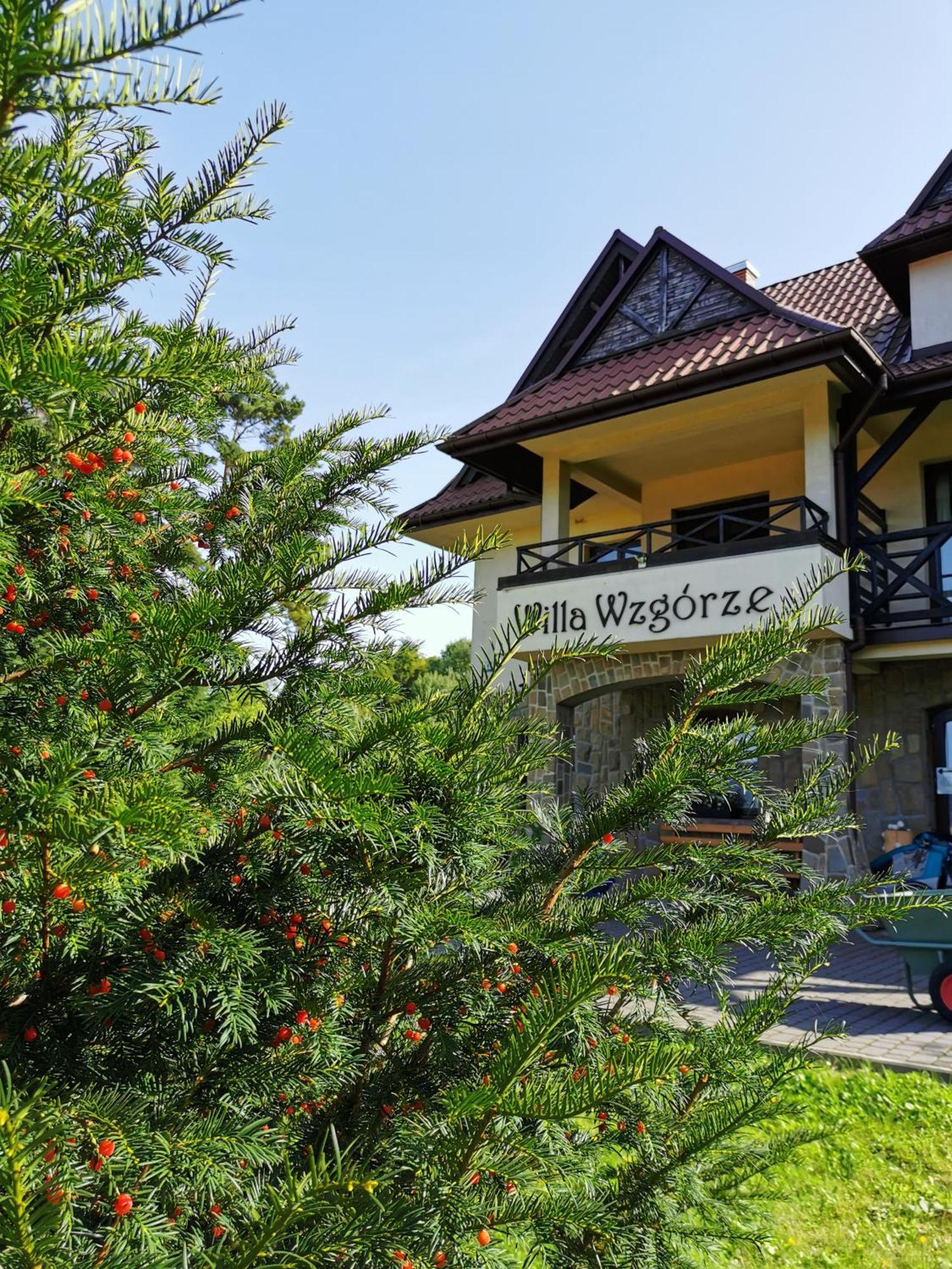 Willa Wzgórze Niedzica Zamek Exterior foto